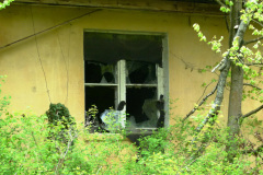 P1020478