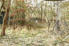 20250208170506-141bfded