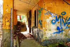 P1040660