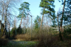 P1040706
