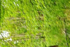 IMG_20260509_160349538_BURST1