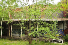 MVIMG_20260509_160557