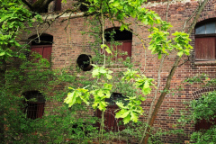 MVIMG_20260509_160759