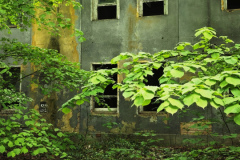 MVIMG_20260509_162156