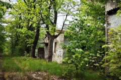 MVIMG_20260509_163731