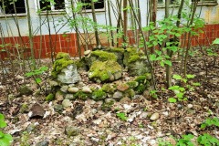 MVIMG_20260509_164113