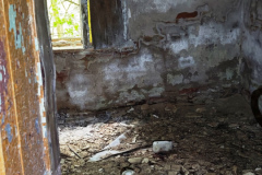 MVIMG_20260509_164634