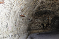 IMG_20240210_135042