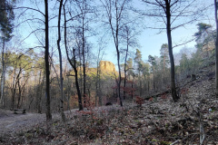 IMG_20240210_141728
