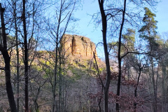 IMG_20240210_141732