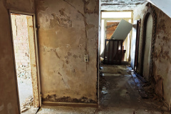 MVIMG_20260301_115842