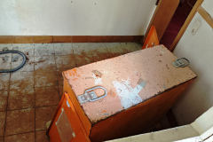 MVIMG_20260301_120724