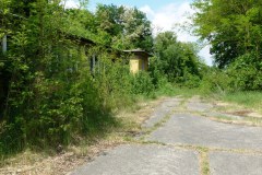 P1050499