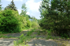P1050505