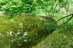 P1050508