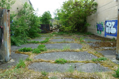 P1050511