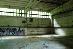 P1050568