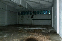 P1050571