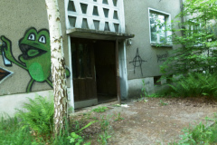 P1050590