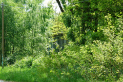 P1050608