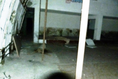 P1040823