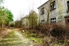 P1040841