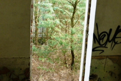 P1040890