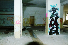 P1040908