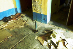 P1040918