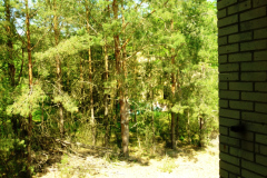 P1080164