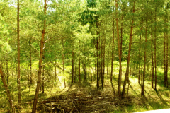 P1080166