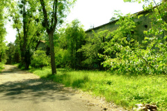 P1080172