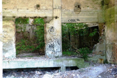 P1080901
