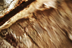 IMG_20250913_161059