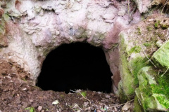 P1010817