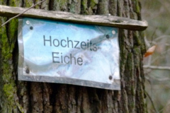 P1010968