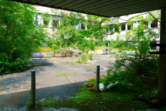 20250609195052-3d83f3cb