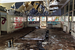 MVIMG_20260214_134243
