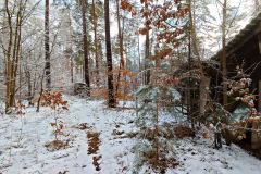 MVIMG_20260214_140615