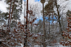 MVIMG_20260214_140820