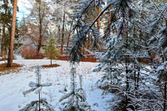 MVIMG_20260214_141408