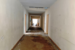 MVIMG_20260214_141413