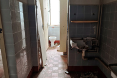 MVIMG_20260214_141437