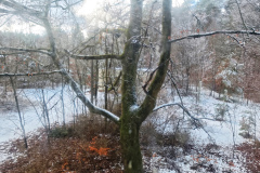 MVIMG_20260214_141537