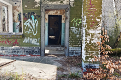 MVIMG_20260411_151114