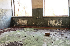 MVIMG_20260411_154047