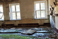 MVIMG_20260411_155541