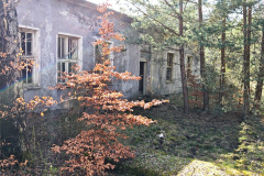 MVIMG_20260411_155555