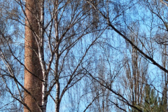 MVIMG_20260411_160241