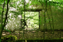 P1050350